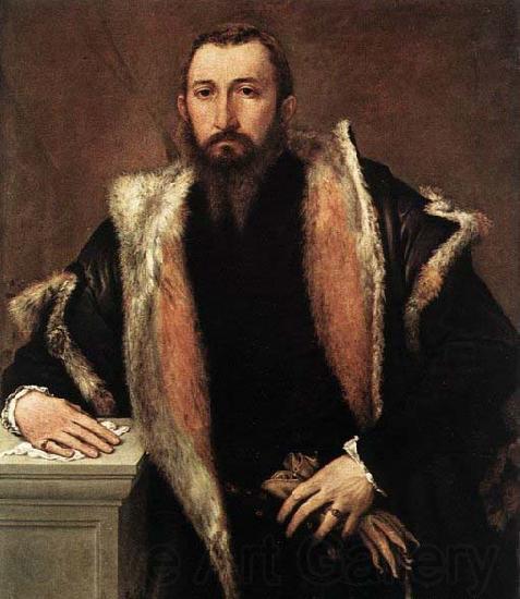 Lorenzo Lotto Portrait of Febo da Brescia Norge oil painting art